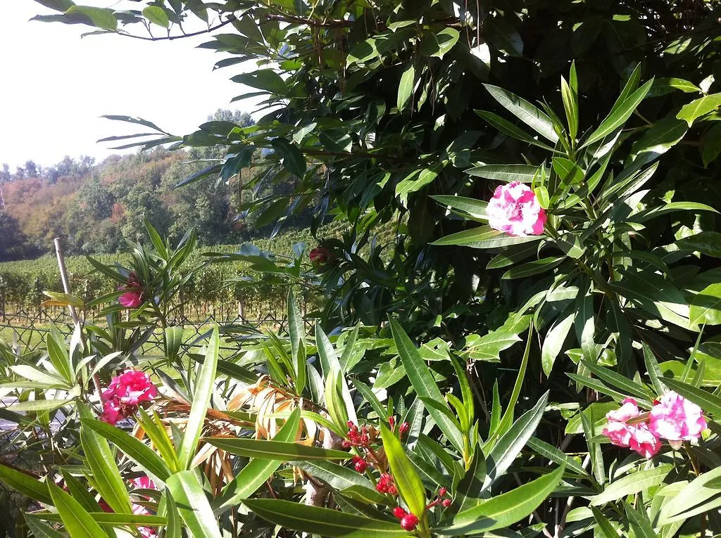 B&B Soiano Del Lago Bed & Breakfast